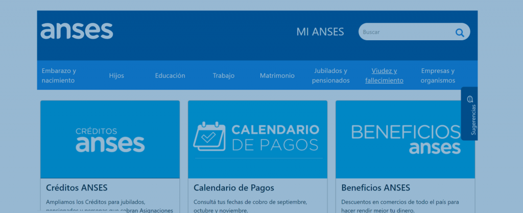ife anses